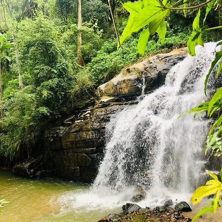 إيلا River Splendour Home Stay المظهر الخارجي الصورة