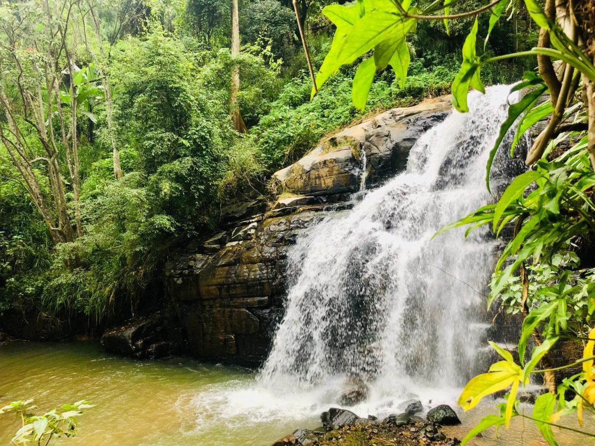 إيلا River Splendour Home Stay المظهر الخارجي الصورة