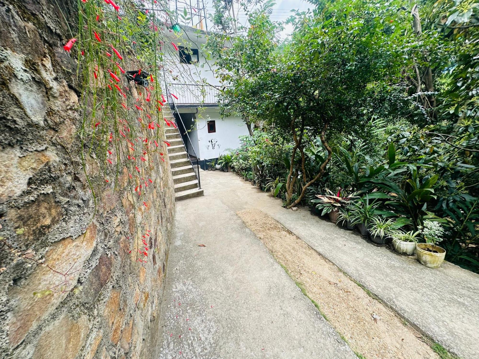 إيلا River Splendour Home Stay المظهر الخارجي الصورة