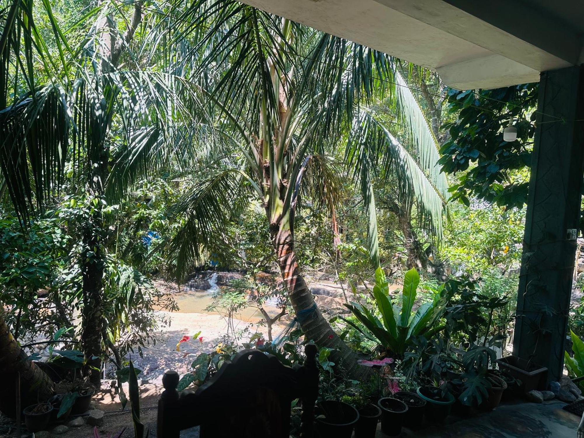 إيلا River Splendour Home Stay المظهر الخارجي الصورة