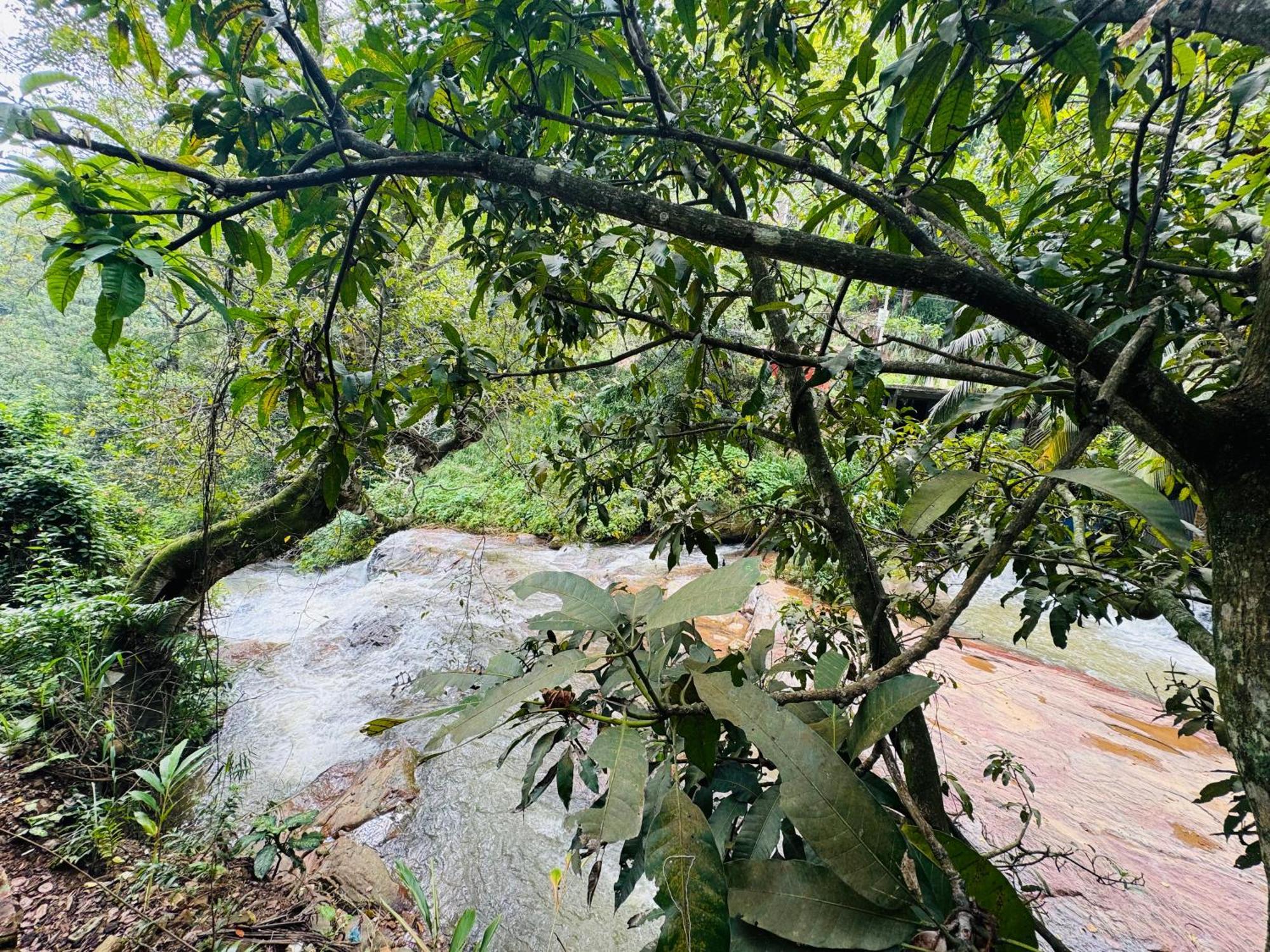 إيلا River Splendour Home Stay المظهر الخارجي الصورة